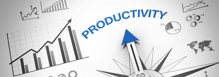 Maintain Productivity